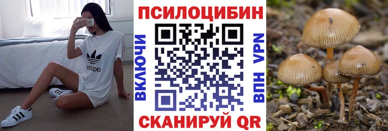 цены наркотик  Кызыл  Псилоцибиновые грибы MAGIC MUSHROOMS 